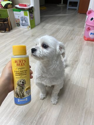 이경주님이 올린 리뷰 사진 3