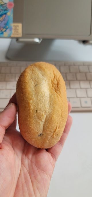 송현동쭈니맘님이 올린 리뷰 사진 2