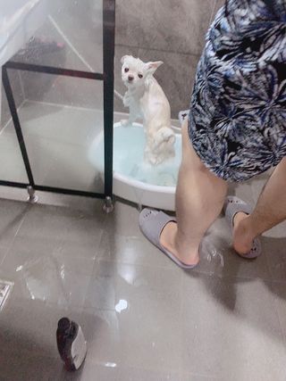 순덕아맘마먹자님이 올린 리뷰 사진 2