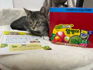 냐옹아냐옹해봐님이 올린 리뷰 사진 1