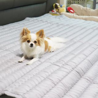 달슈님이 올린 리뷰 사진 2