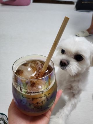 뽀오오옹님이 올린 리뷰 사진 2