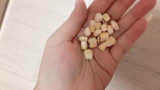 또왔엉님이 올린 리뷰 사진 3