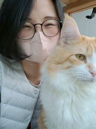 애니가드 셋업메베마스크 (대형 4컬러 + 중형 4컬러) — 5점을 준 리뷰어가 2022년 4월 올린 사용 사진