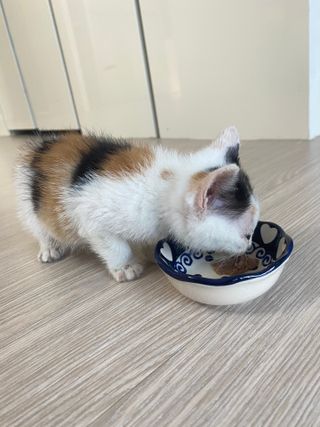 크리미님이 올린 리뷰 사진 1