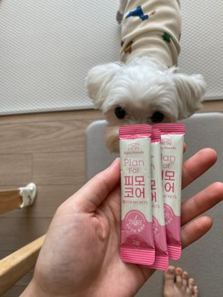 댕댕이님이 올린 리뷰 사진 3