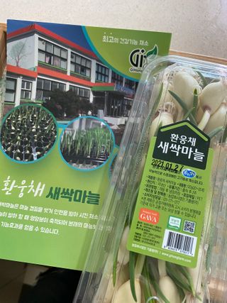 핑크레몬님이 올린 리뷰 사진 2