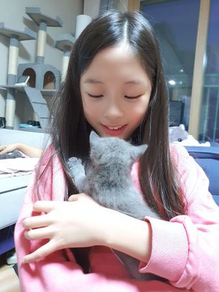 chatine님이 올린 리뷰 사진 4