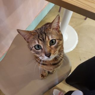 쏘오님이 올린 리뷰 사진 3