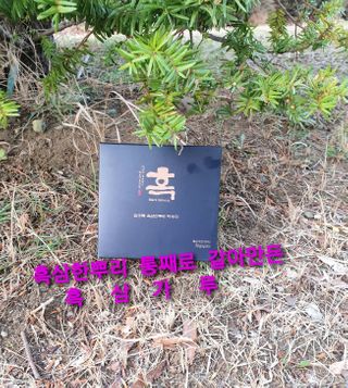 참살이님이 올린 리뷰 사진 1