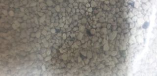 겟플렉스 켓플렉스 캣츠룸BS-1 고양이모래 4kg — 4점을 준 리뷰어가 2020년 12월 올린 사용 사진