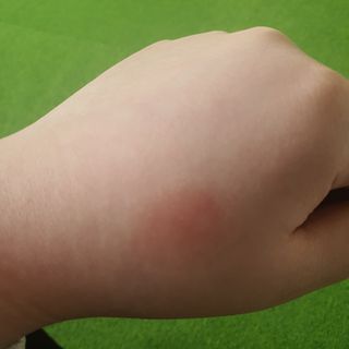 매실님이 올린 리뷰 사진 4