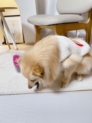 심쿵하루님이 올린 리뷰 사진 4