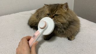 Favorite님이 올린 리뷰 사진 1