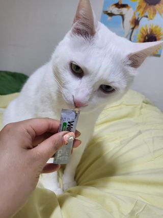 유아유이님이 올린 리뷰 사진 3