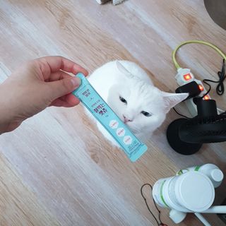 페페로니 잘 먹는 캣츄 - 원양선 참치 24개입 — 5점을 준 리뷰어가 2021년 8월 올린 사용 사진