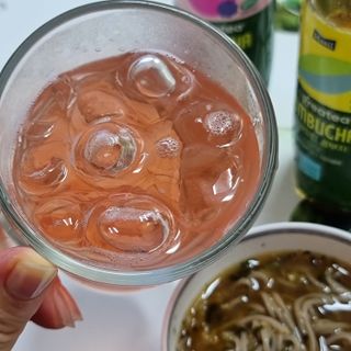 더그레잇티 콤부차 [매일유업] 더그레잇티 44kcal 콤부차 300ml *12개입 (오리지널 6개+베리리치 6개) — 5점을 준 리뷰어가 2023년 7월 올린 사용 사진