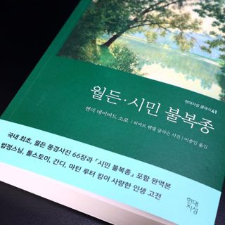 박할미님이 올린 리뷰 사진 2