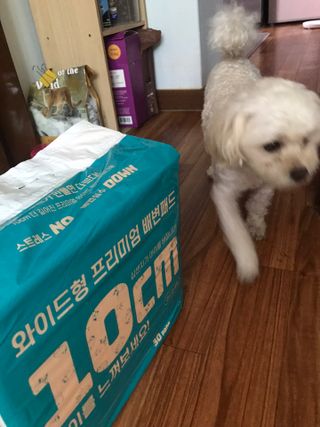 쭈또맘님이 올린 리뷰 사진 2