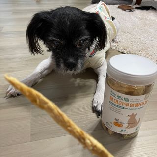 [펫시밀] 원물그대로 강원도 인제군 용대리 무염황태채 60g 강아지 고양이 프리미엄 수제간식 — 5점을 준 리뷰어가 2023년 11월 올린 사용 사진