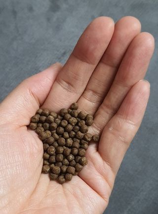 새롬바이오 리생 [미쾌변] 차전자피 식이섬유 건강기능식품 3팩 — 4.5점을 준 리뷰어가 2021년 6월 올린 사용 사진