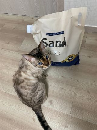 어린이님이 올린 리뷰 사진 1