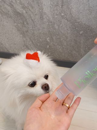 망고마미님이 올린 리뷰 사진 1