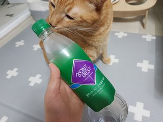 몽베스트 Montbest with Sparkling water Plain 20병 — 5점을 준 리뷰어가 2021년 11월 올린 사용 사진
