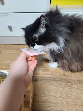 릴리님이 올린 리뷰 사진 1