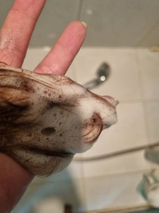 진쓰님이 올린 리뷰 사진 3