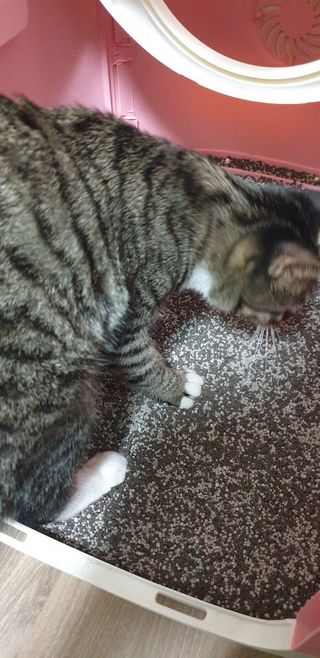 왓다동방러님이 올린 리뷰 사진 1