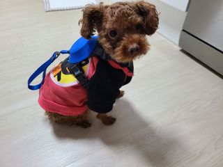연이님이 올린 리뷰 사진 1