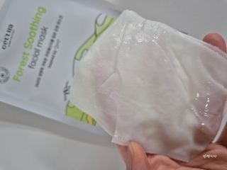 세뚜아(Cettua) 나우[세뚜아] 포레스트 수딩 마스크 Cettual Forest  Soothing Mask 4매 — 5점을 준 리뷰어가 2024년 3월 올린 사용 사진