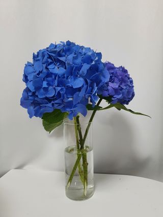 다리미님이 올린 리뷰 사진 2