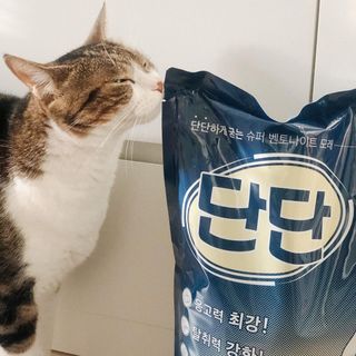트윙클J님이 올린 리뷰 사진 2