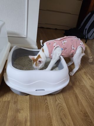 형통맘님이 올린 리뷰 사진 2