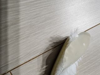 펭수님이 올린 리뷰 사진 3