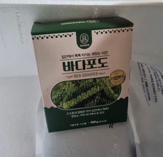 [피터씨마켓] 바다포도 100g(20g x 5봉) 우미부도 그린캐비어 ASMR 소분포장 — 5점을 준 리뷰어가 2024년 8월 올린 사용 사진