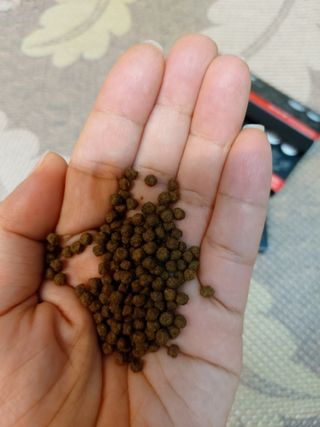 아잡토님이 올린 리뷰 사진 3