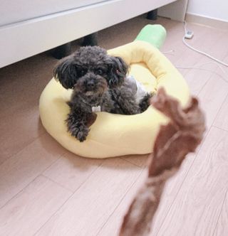 baam님이 올린 리뷰 사진 3