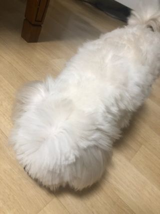 simon Kim님이 올린 리뷰 사진 1