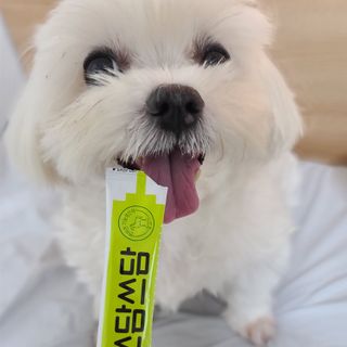 힙스터펭님이 올린 리뷰 사진 3