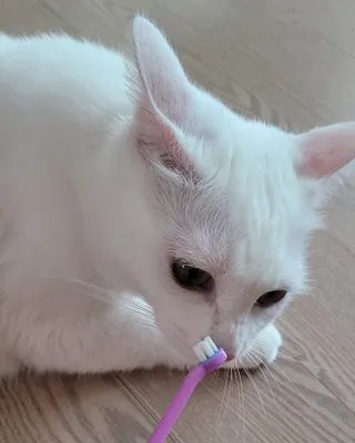 대박이님이 올린 리뷰 사진 2
