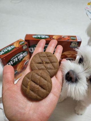 뽀오오옹님이 올린 리뷰 사진 3