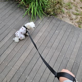 희온느님이 올린 리뷰 사진 2