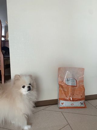 캐닌캐비어 알카라인 홀리스틱 그레이프리 앙뜨레 ALS_4종 오픈스카이, 와일드오션, 프리스피릿, 스페셜니즈 — 5점을 준 리뷰어가 2023년 3월 올린 사용 사진