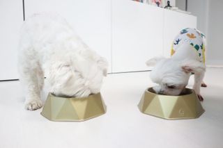 오들희님이 올린 리뷰 사진 3