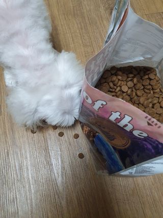 수니니님이 올린 리뷰 사진 2