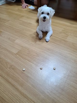 삐랭이님이 올린 리뷰 사진 3