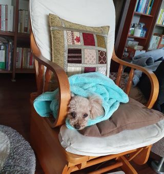 위니님이 올린 리뷰 사진 2